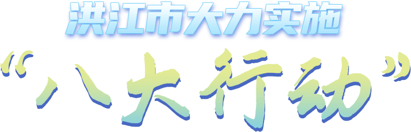 洪江市大力实施